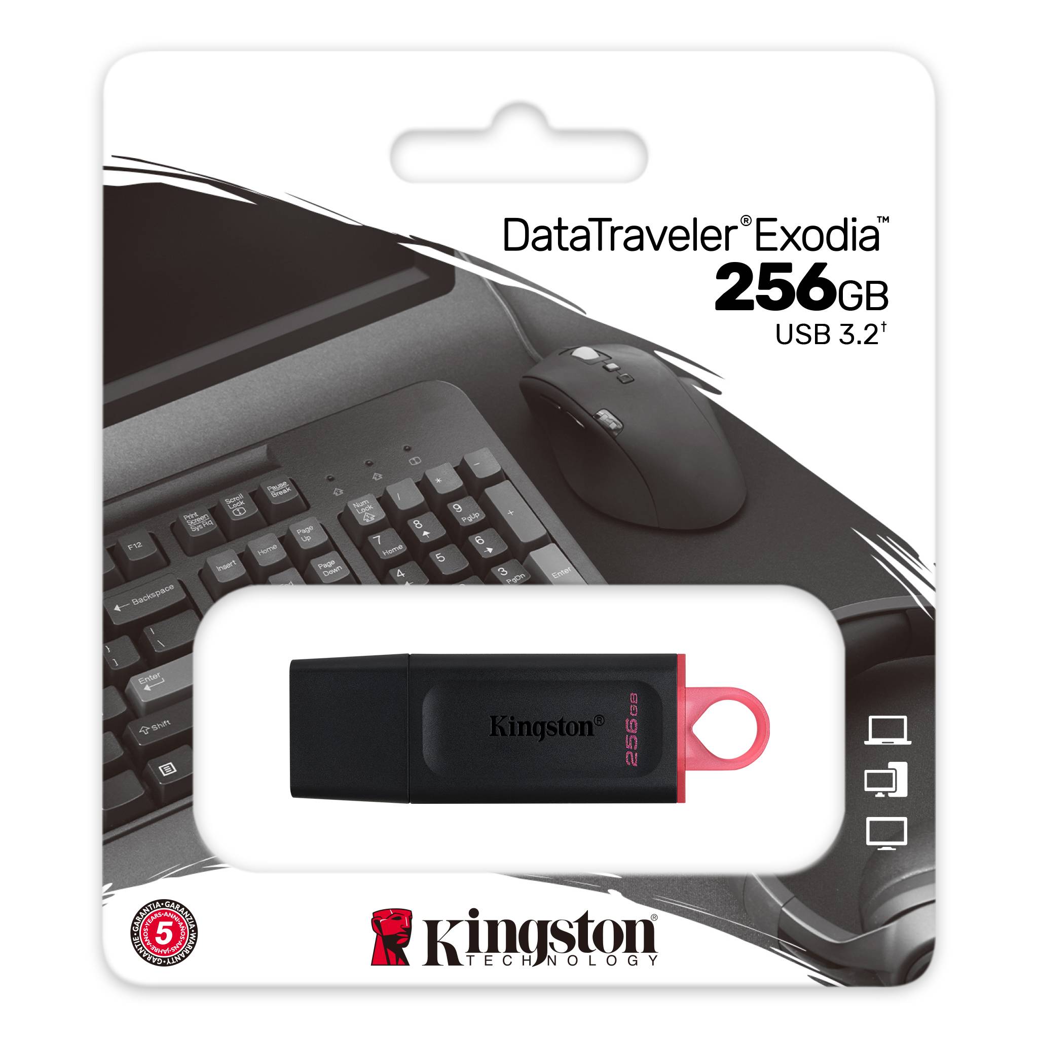 Kingston 256GB DataTraveler Exodia Black And Pink USB3.2 Gen 1 Flash Drive Black And Red